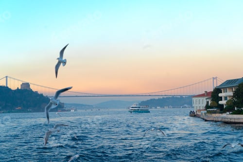 Preview: Skyline of Istanbul, Turkey