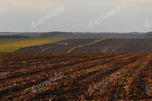 Preview: agricultural fields for growing grain crops of wheat and rye. Farming agricultural policy of