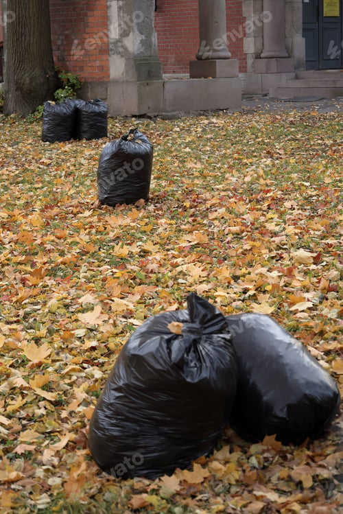 Preview: garbage in black plastic bags in garden, in yard. cleaning of house territory in autumn season