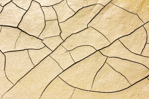 Preview: details of a dried cracked seabed