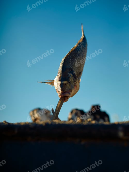Preview: A fish impaled on a wooden stick against a blue sky background.