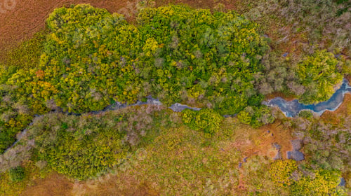 Preview: Wild River Winding in Autumn Foliage. Natural Patterns. Aerial D
