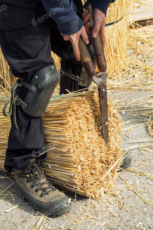 Preview: Thatcher cutting a yelm of straw with a pair of shears.