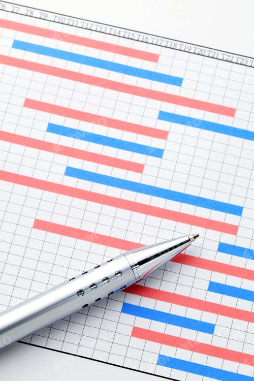 Preview: Project gantt chart
