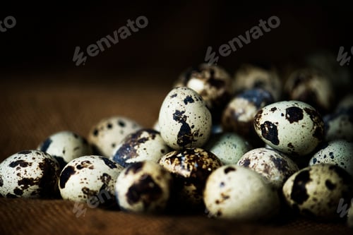 Preview: Closeup of fresh organic quail eggs
