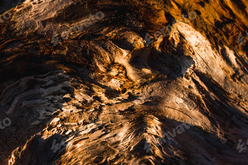 Preview: Macro shot of gorgeous textured wood during the golden hour