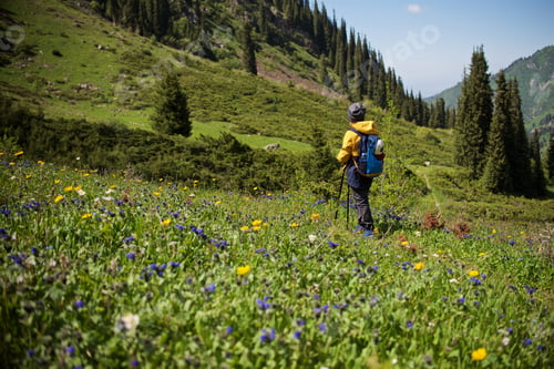 Preview: Great view from the hiking trail