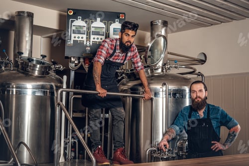 Preview: Tattooed, bearded Caucasian and Indian men in the craft beer microbrewery.