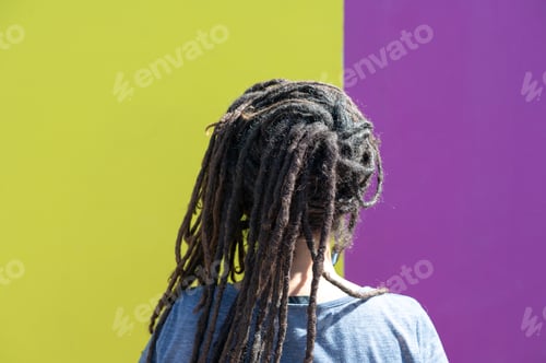 Preview: Rear view of woman with locs hairstyle