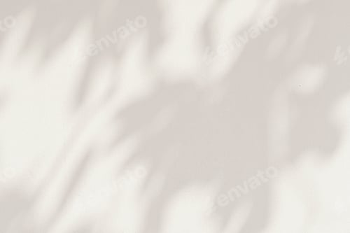 Preview: Leaf shadows on a cement background illustration