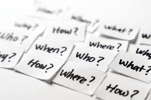 Preview: The essential questions and answers section