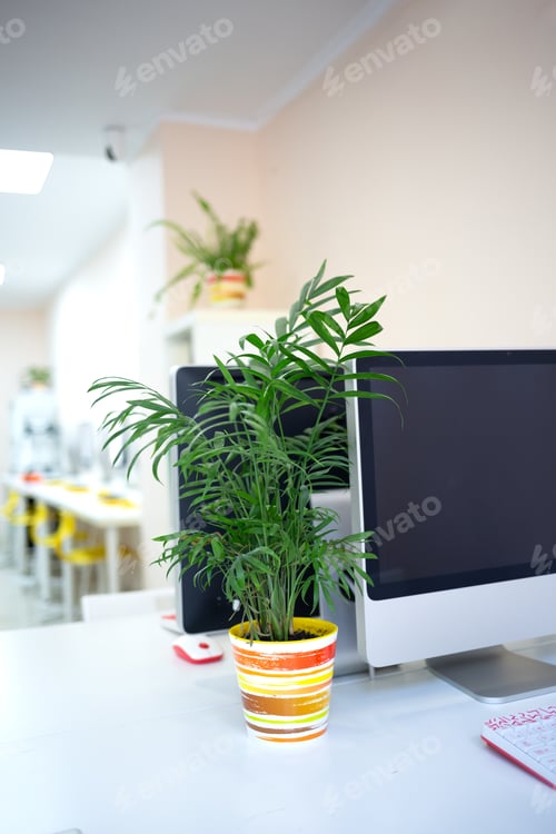 Preview: a cozy workplace in a coworking space with a computer and a flower in a pot