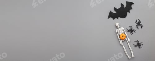 Preview: skeleton with pumpkin, bat and black spiders on a grey background. halloween concept