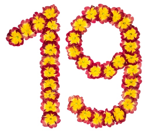 Preview: Numeral 19, nineteen, from natural flowers of primula, isolated on white background