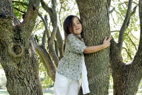 Vorschau: 5 Jahre altes Mädchen steht an einem Baum