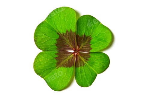 Preview: clover
