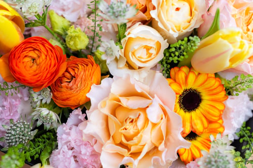 Preview: Set of flower box with different flower