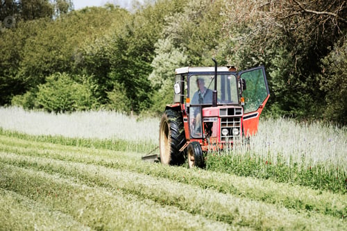 Preview: A tractor cutting a swathe through tall grasses and flowers in a field.