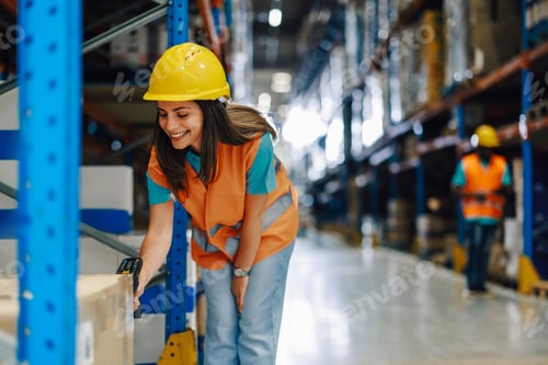 Preview: Female warehouse worker scanning package in warehouse