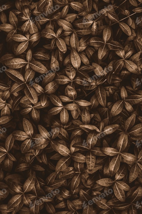 Preview: Brown plants background, texture of bronze tinted foliage, autumn nature background, dark and moody