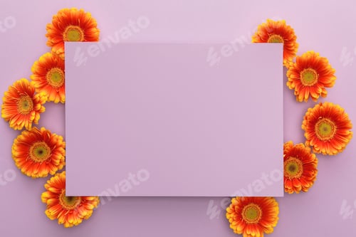 Preview: top view of orange gerbera flowers and blank paper on violet background