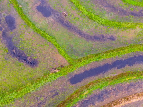 Preview: Aerial photo showing the contrast between natural green forest