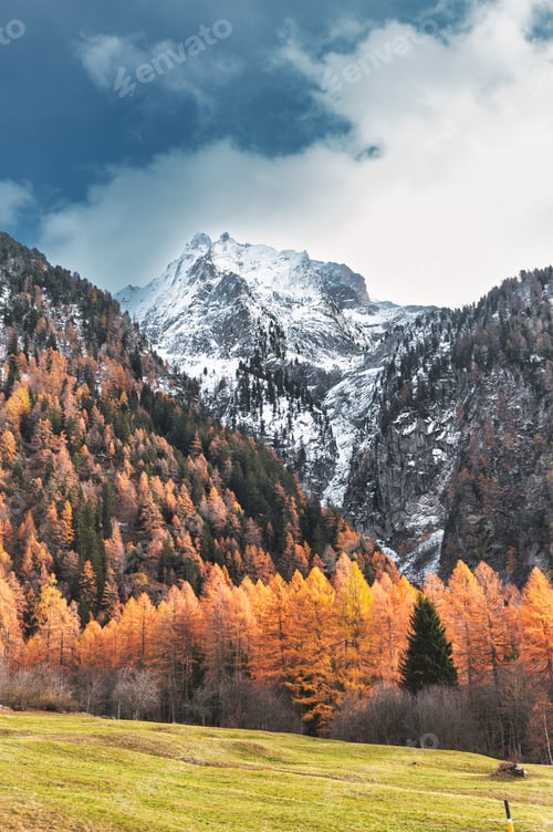 Preview: Autumn landscape with forest and high mountains