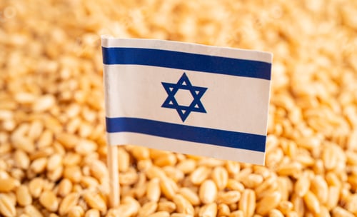 Preview: Grains wheat with Israel flag, trade export and economy.