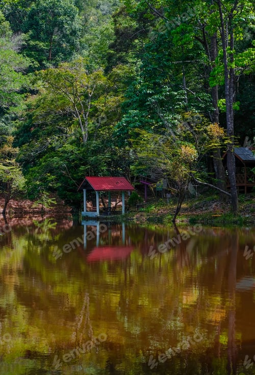 Preview: Calm lake view at Taman Eko Rimba Terenggun, Kuala Lipis, Pahang, Malaysia.