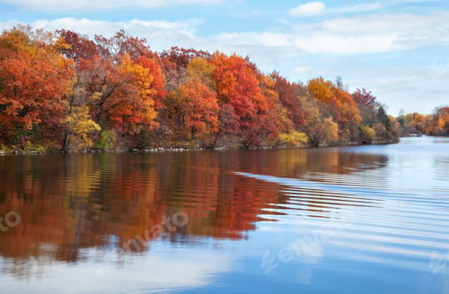 Vorschau: Küste des Minnesota-Sees mit Bäumen in leuchtenden Farben im Herbst