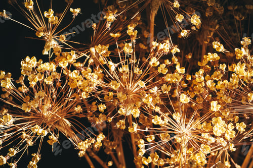 Preview: Dried autumn flowers bouquet at home close up