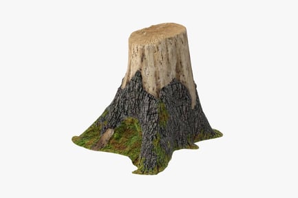 Preview: Weathered Woodland Tree Stump