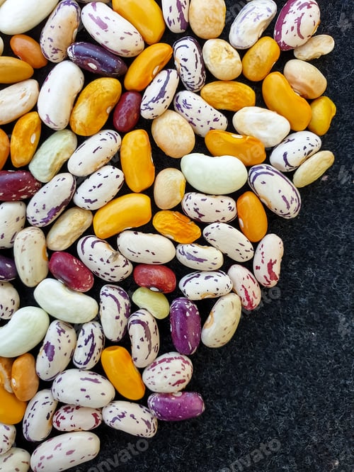 Preview: Top angle shot of scattered of colorful uncooked kidney beans, Scattered of raw kidney beans