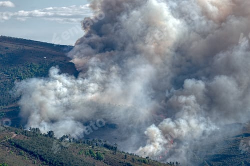 Preview: Forest fire in the Courel range