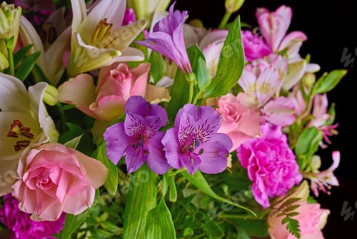Preview: Colourful bouquet of flowers. A bouquet of appreciation.