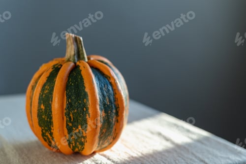 Preview: A bright orange and green pumpkin lies on a table covered with linen cloth.
