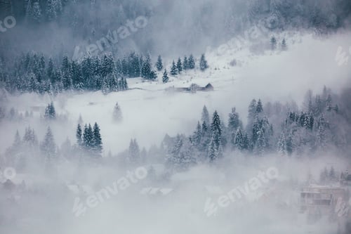 Preview: Winter postcard.