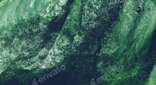 Preview: Tropical leaf background