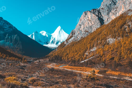 Preview: Colorful in autumn forest and snow mountain at Yading nature reserve