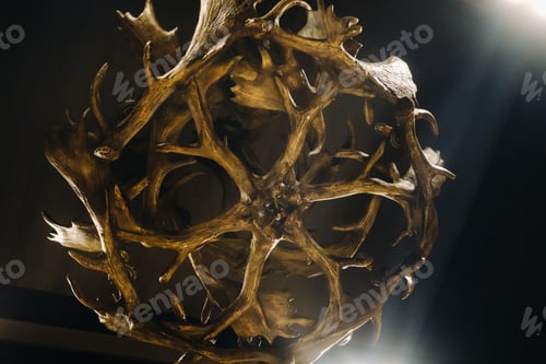 Preview: A chandelier made of deer antlers hanging on the ceiling of the interior