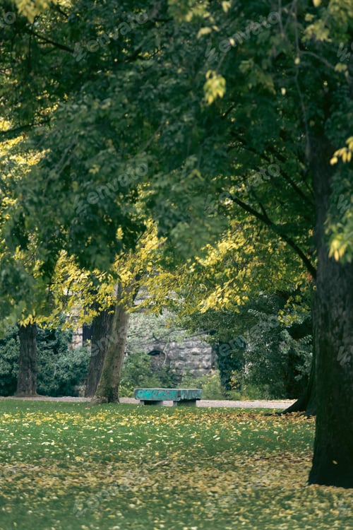 Preview: Autumn in Budapest, Hungary.