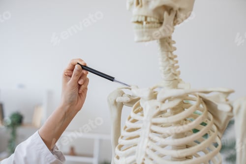 Preview: Doctor hand showing location of disease on model skeleton
