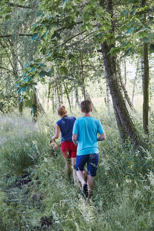 Preview: Mother and her son walking along a path, among the trees, close to nature, during summer vacations