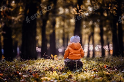 Preview: Little toddler boy in autumn-spring clothes sits backward on a stump in park plays with a leaf