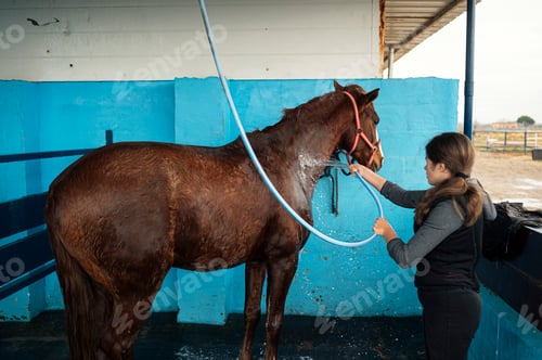Preview: Girl with special clothes and washing her horse after riding it.