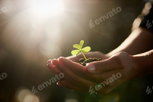 Preview: Shot of an unidentifiable young woman holding a seedling in a pile of soil