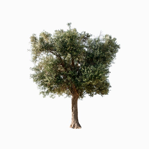 Preview: tree