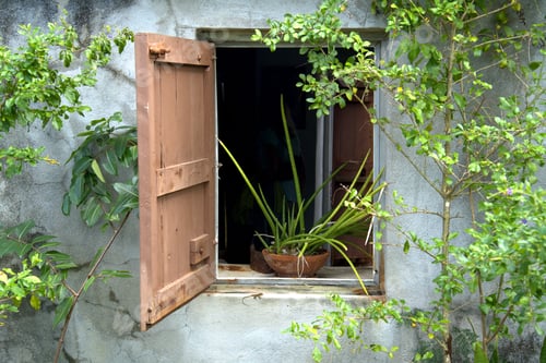 Preview: St. George Village Botanical Garden