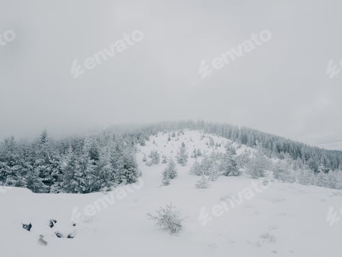 Vorschau: Winter wonderland on top of a mountain with white pine trees covered in icy snow