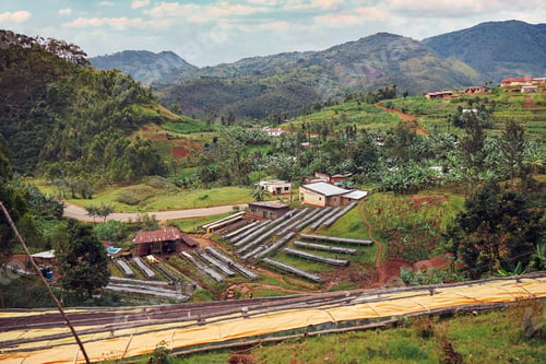 Preview: coffee washing station in moutain region of eastern Africa